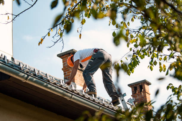 Best Roof Leak Repair  in Swisher, IA