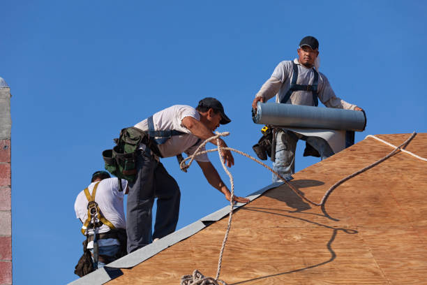 Best Local Roofing Companies  in Swisher, IA